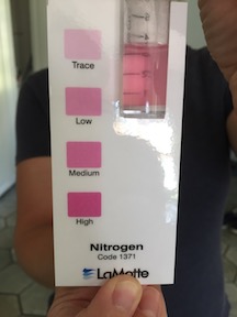 Soil nitrogen result