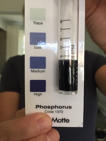 Soil phosphorus result