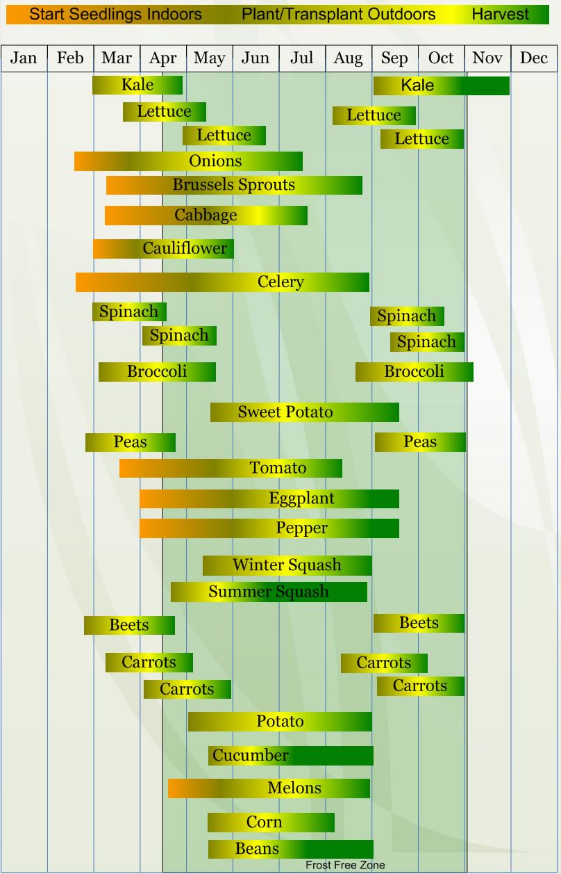 Zone 7 Planting Calendar